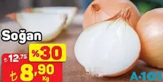SOĞAN KG SOĞAN KG